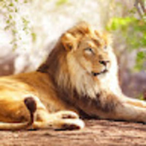 Meet your Posher, Leslie